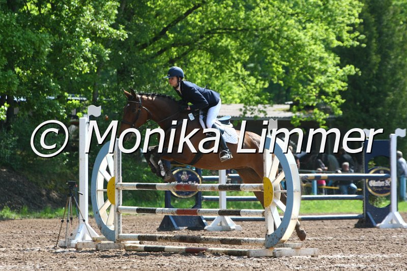 104M8072_Springpf L.JPG